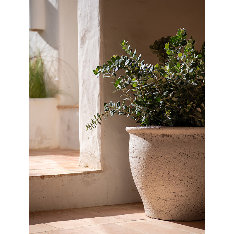 Mediterranean Poseidon Krijt Wit