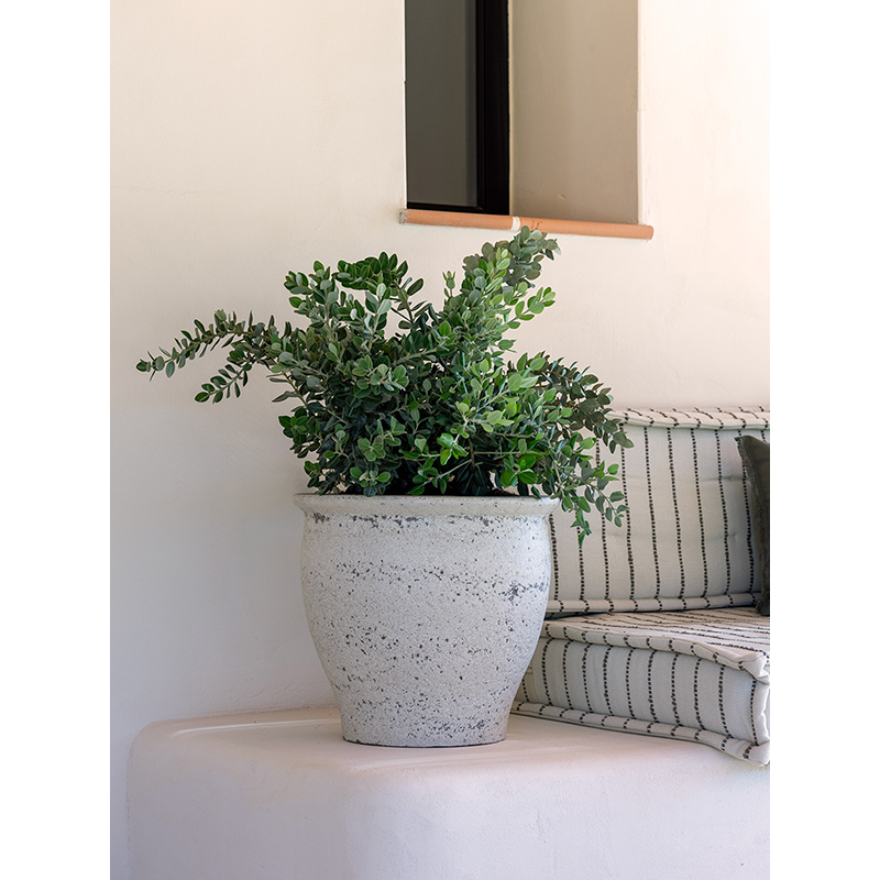 Mediterranean Poseidon Krijt Wit