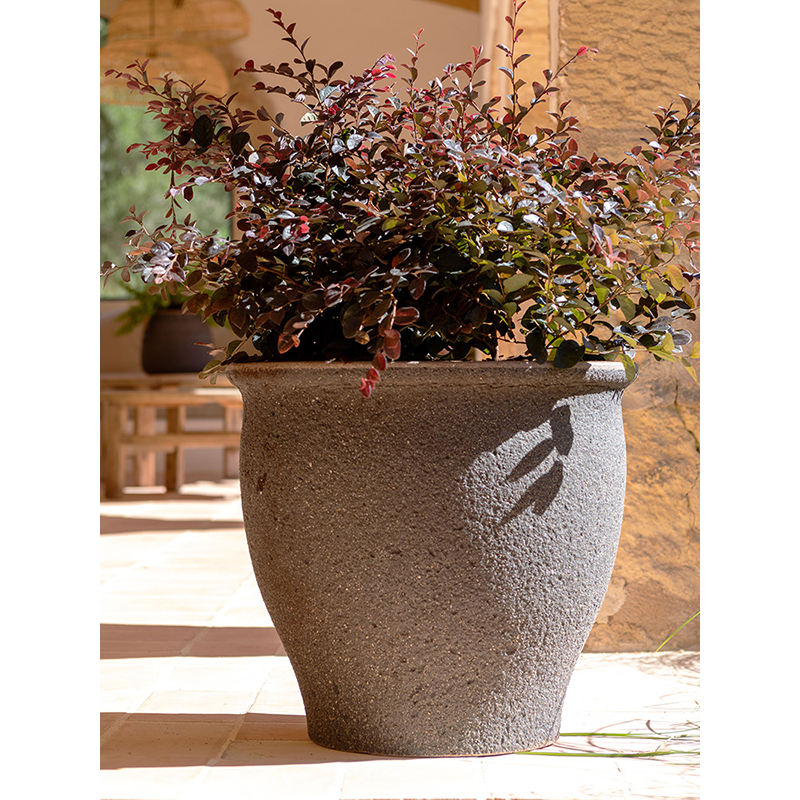 Mediterranean Poseidon Omber Bruin