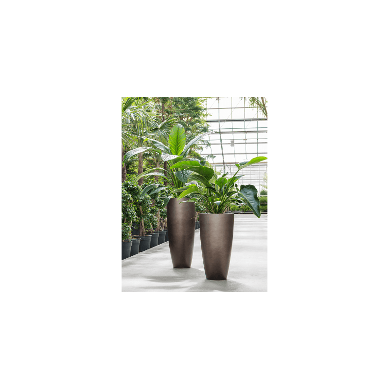 Metallic Vase Coffee