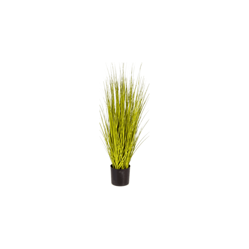 Miscanthus Gold Grass - kunstplant
