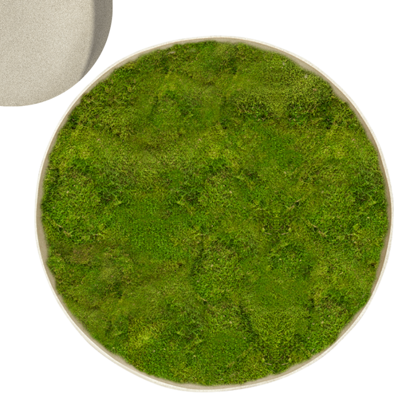 Mosschilderij Rond 100% Platmos Wit