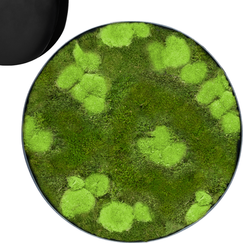 Mosschilderij Rond 30% Bolmos 70% Platmos Antraciet