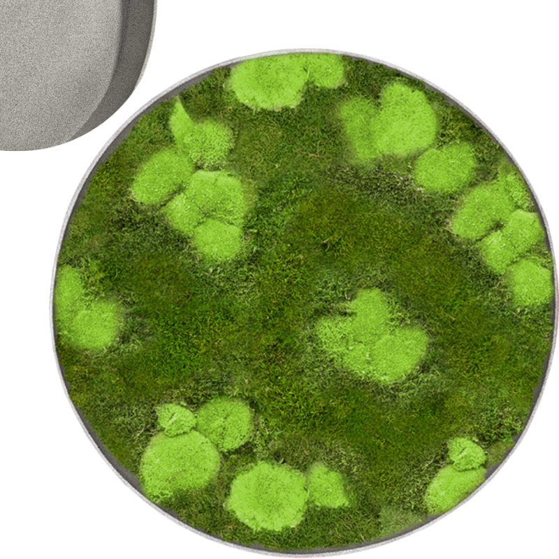 Mosschilderij Rond 30% Bolmos 70% Platmos Natural