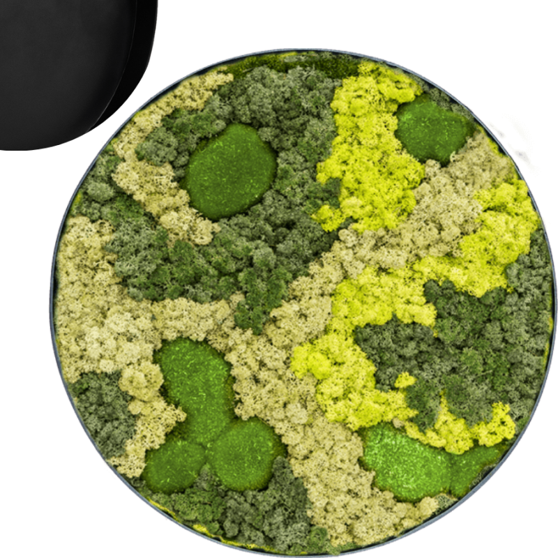 Mosschilderij Rond 30% Bolmos 70% Rendiermos Antraciet