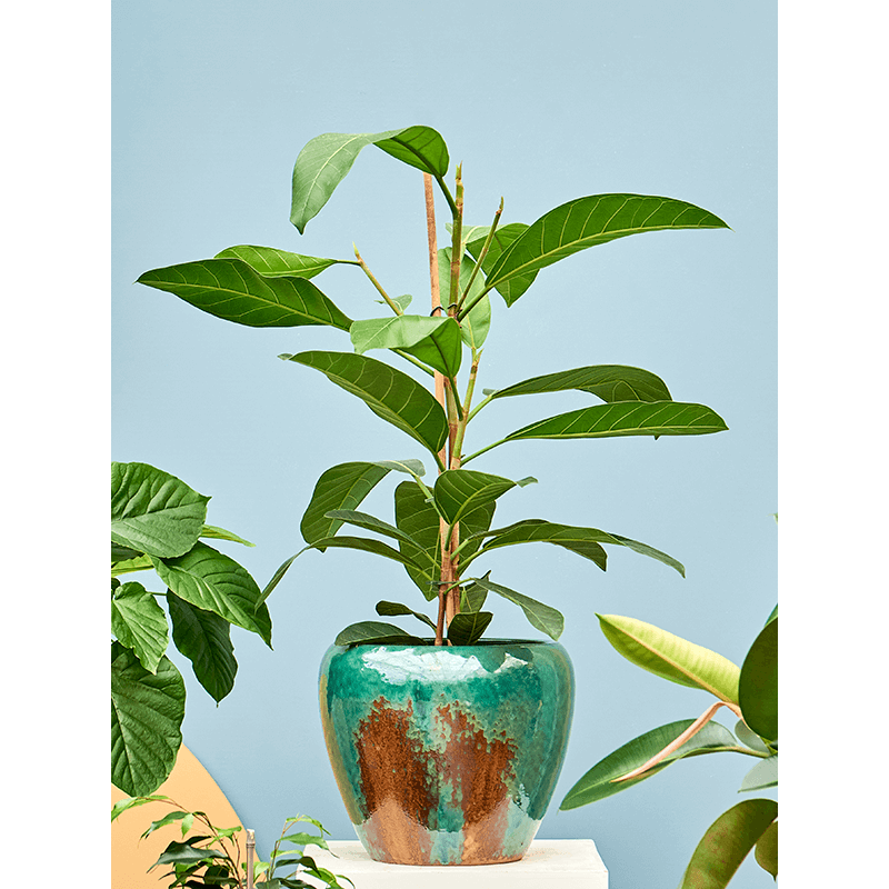 Mystic Globe Metal Ocean