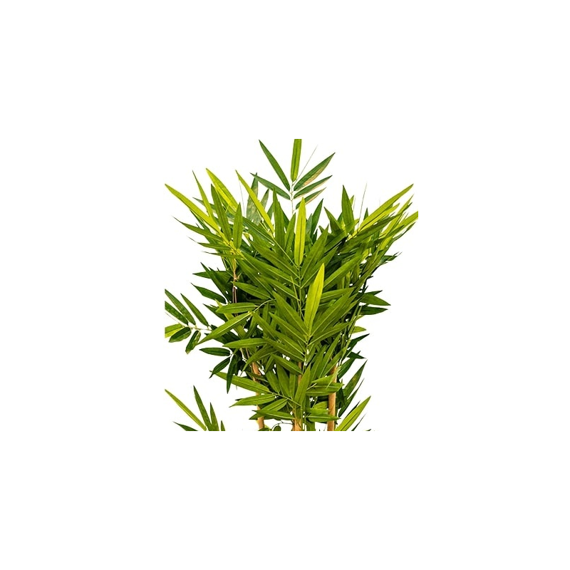 Bamboo Small - kunstplant