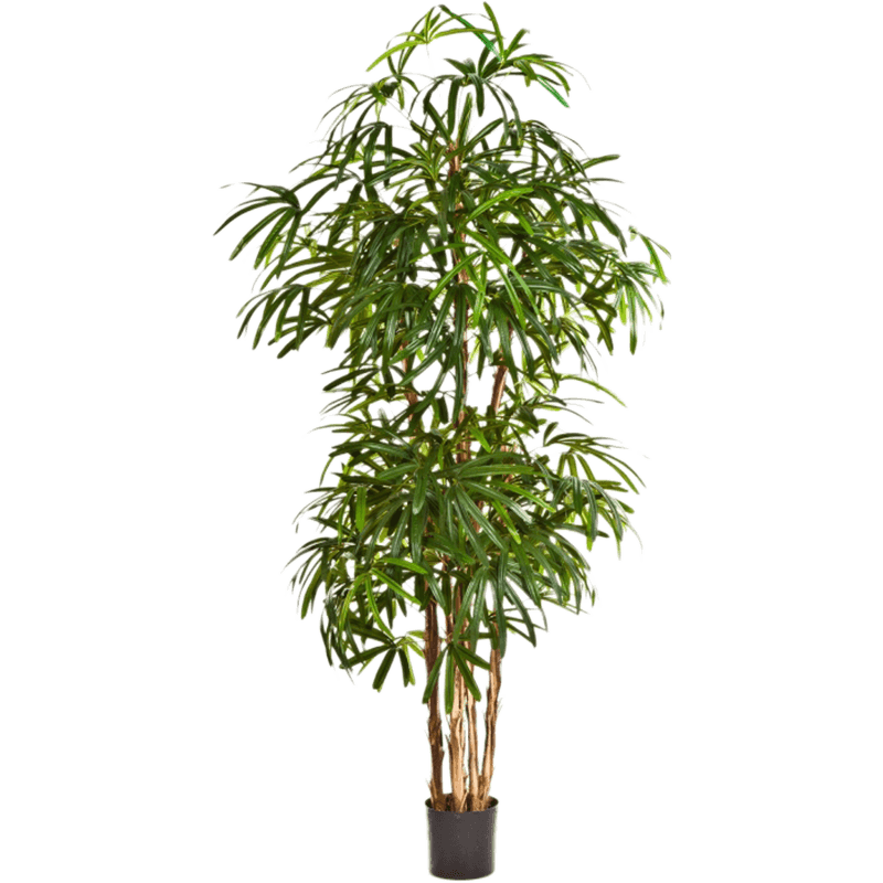 Natural Rhapis Palm XL - kunstplant