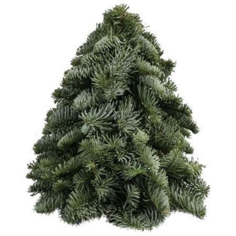 Nobilis kerstboom 30 cm
