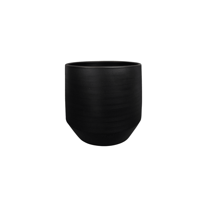 Norell Black