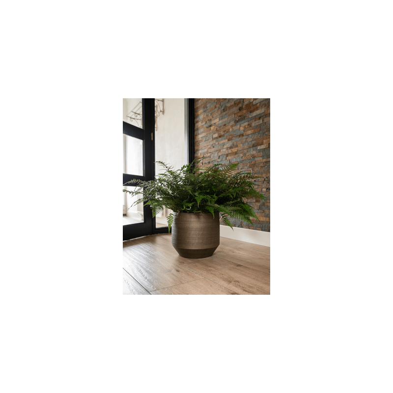 Norell Chestnut Brown