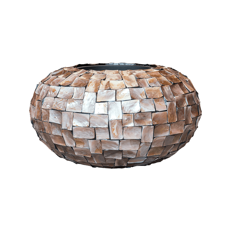 Oceana Globe Bruin
