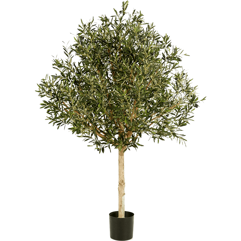 Olea Naturel Tree Topiary - kunstplant