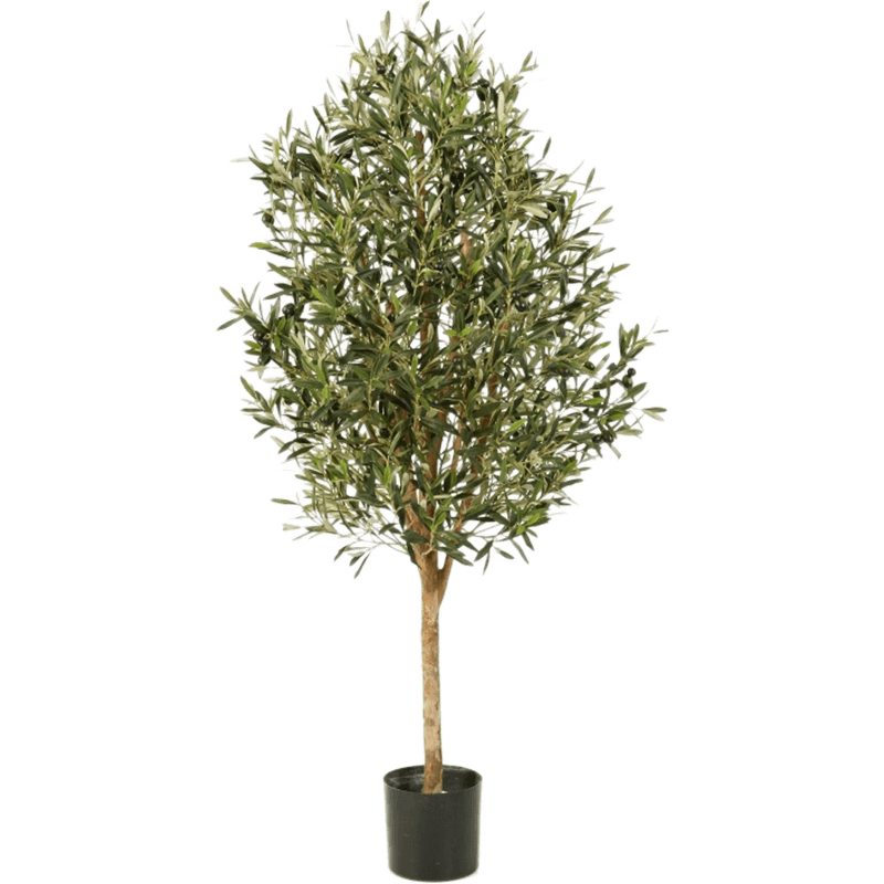 Olea Naturel Vine Tree - kunstplant