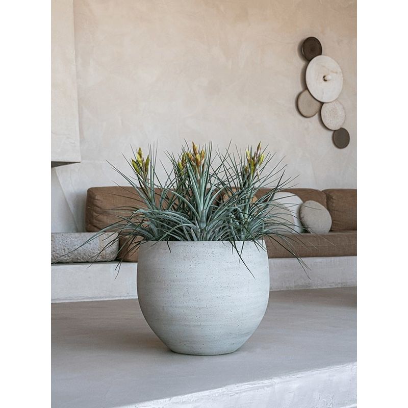 Cement Orb Beige