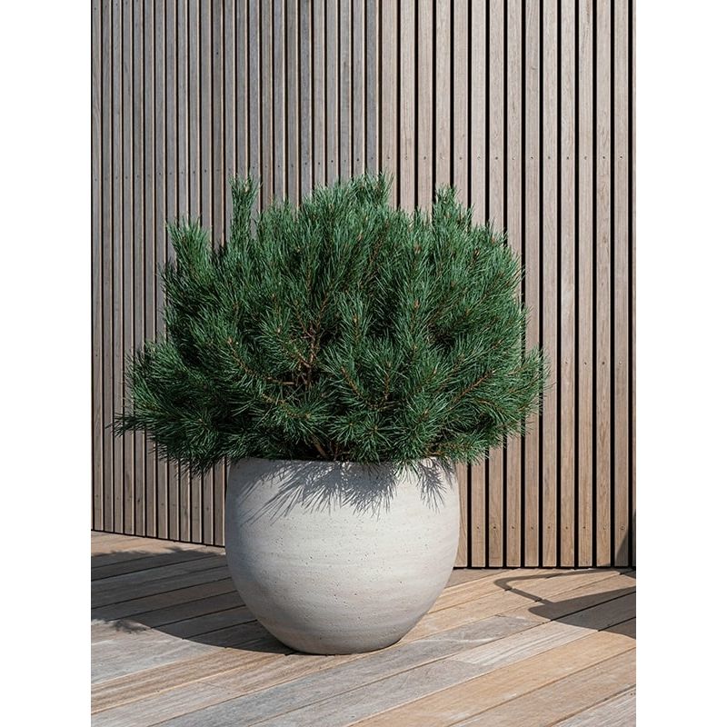 Cement Orb Beige