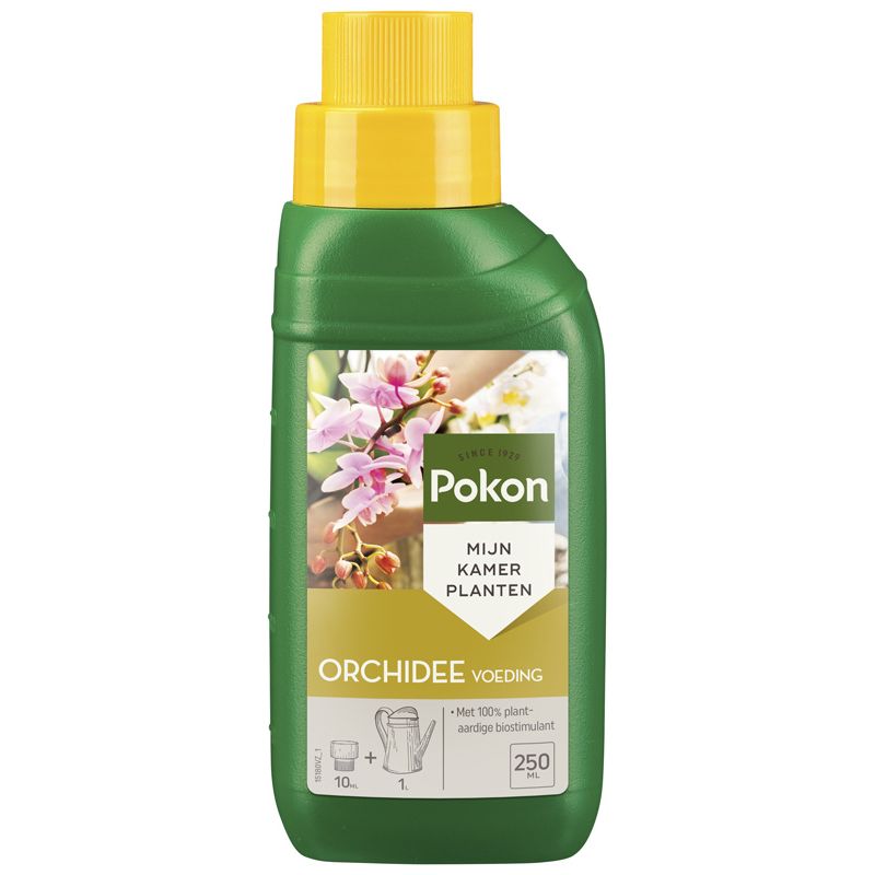 Voeding Orchidee
