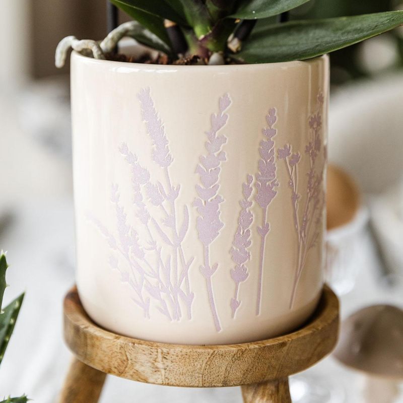 Orchidee in Misty Lilac 