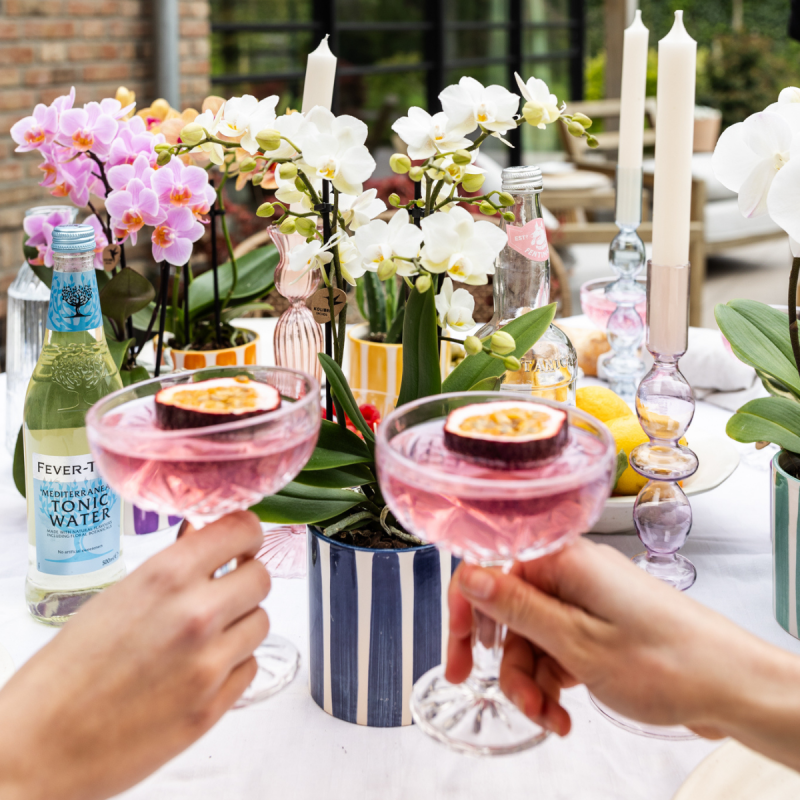 Plantenset Painted Stripe