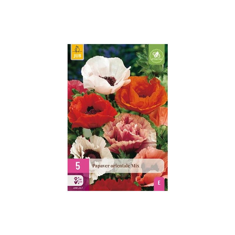 Papaver Orientale Mix - 5 stuks