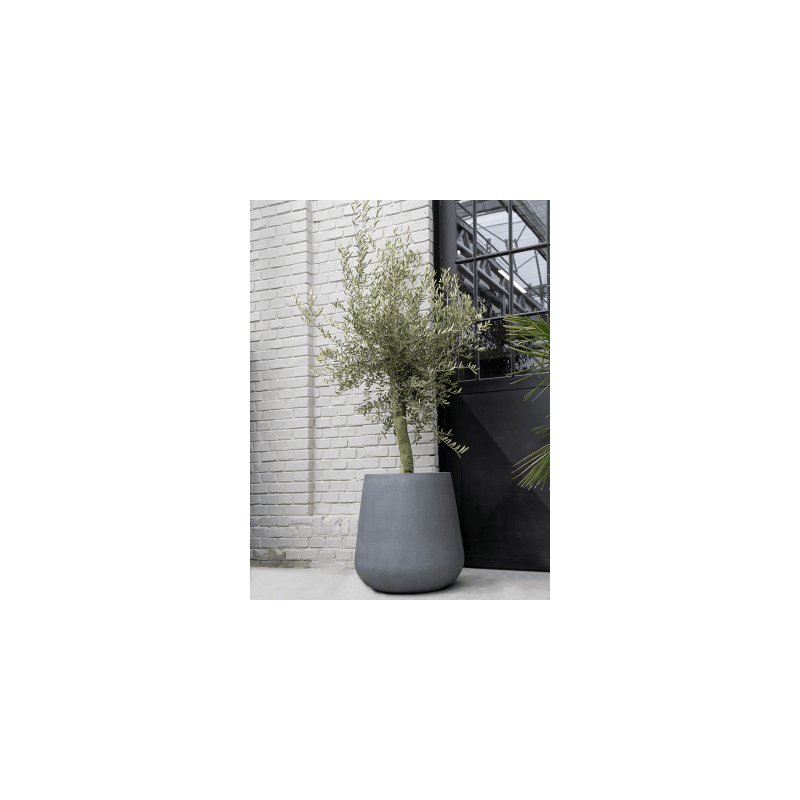 Fiberstone Pax Grijs