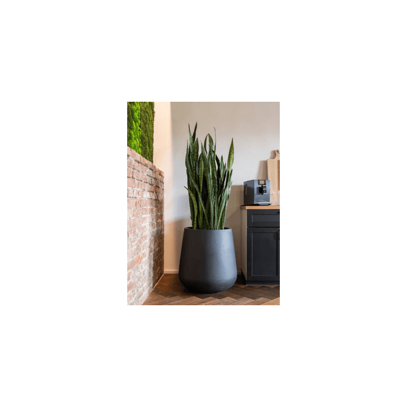 Fiberstone Pax Zwart