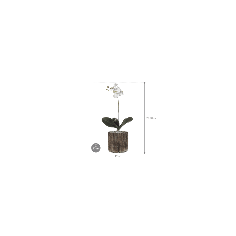 Phalaenopsis in Luxe Lite Universe Waterfall Cilinder - kunstplant
