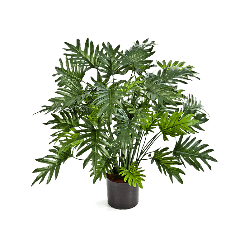Philodendron Xanadu Bush - kunstplant