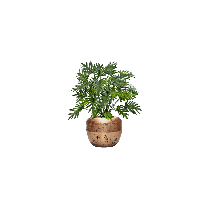 Philodendron in Opus Raw Goud - kunstplant