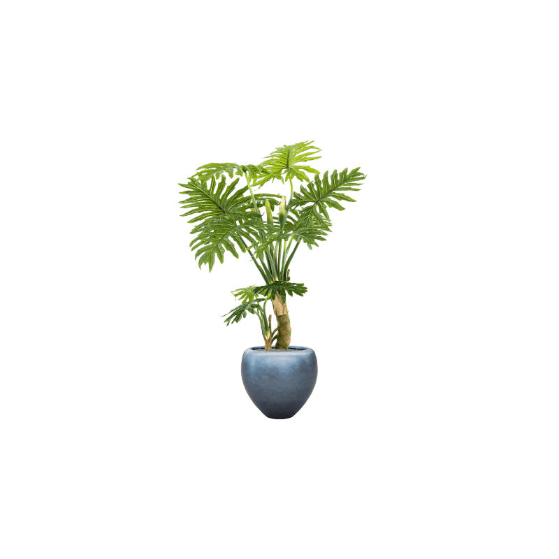 Philodendron in Metallic Couple Ice Blue - kunstplant