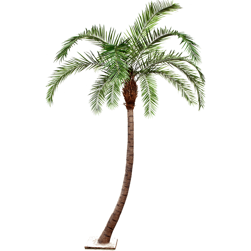 Phoenix Palm Curved - kunstplant