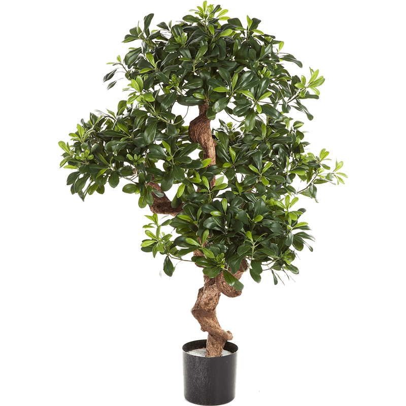 Laurier bonsai - kunstplant