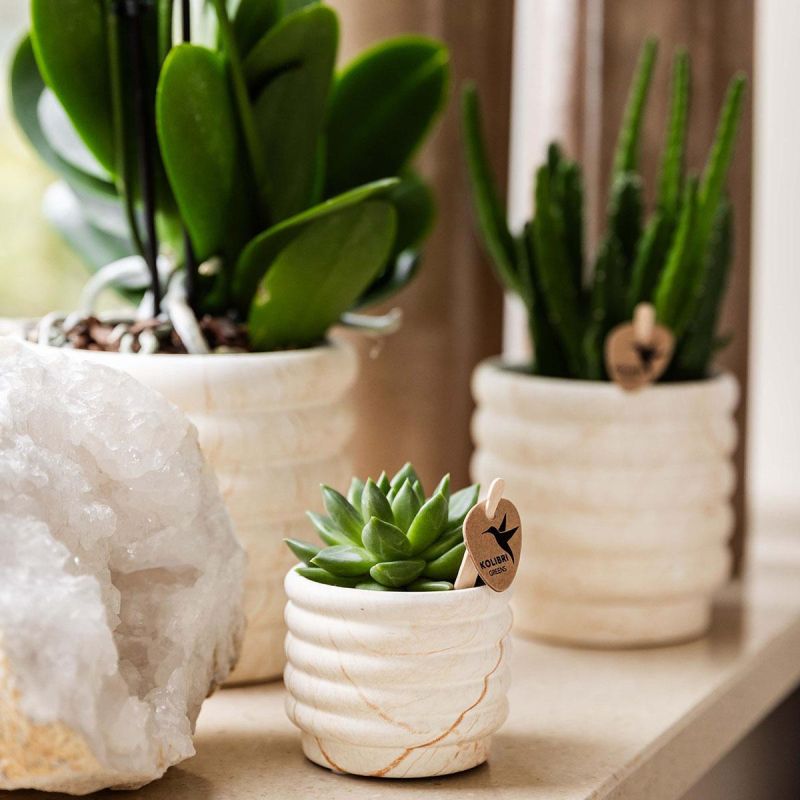 Planten duo Slow Living