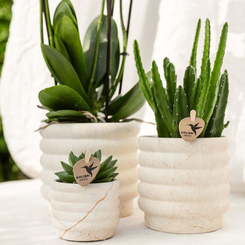 Planten duo Slow Living
