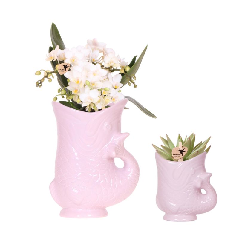 Planten duo Yona roze