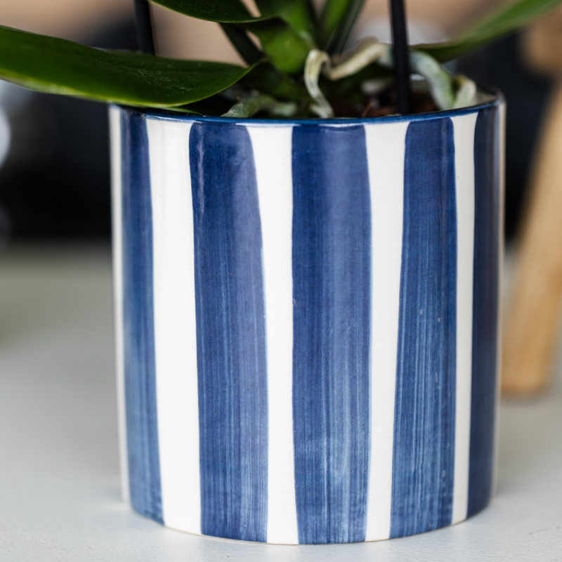 Plantenset Yona donkerblauw