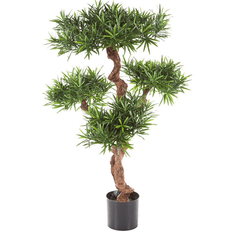 Podocarpus bonsai XL - kunstplant