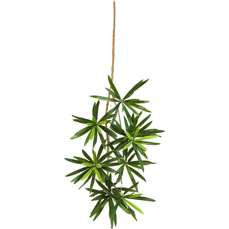 New Podocarpus Spray Small - kunstplant