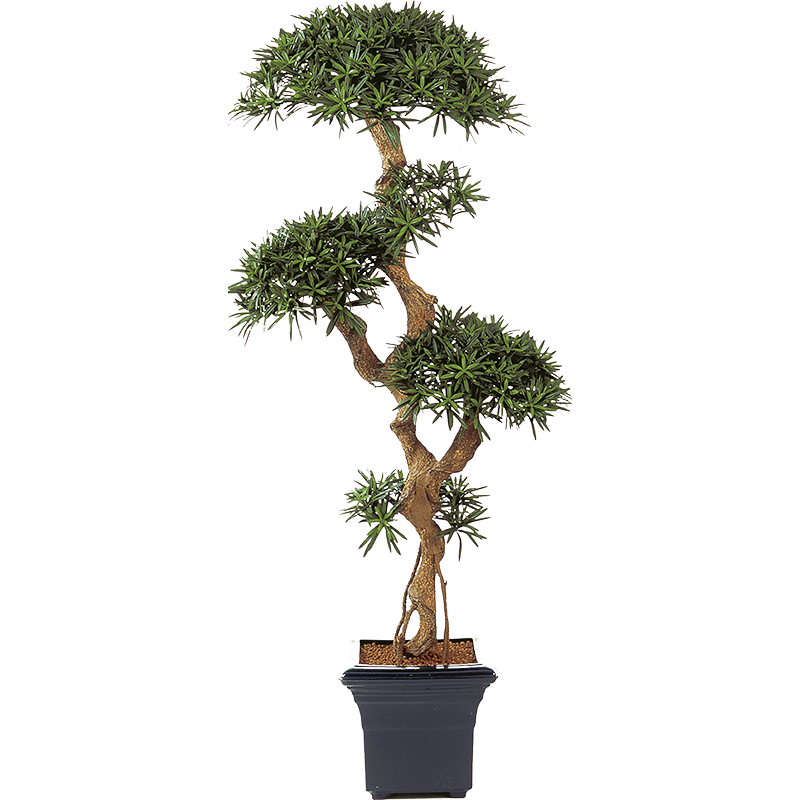 Podocarpus Vertakt - kunstplant