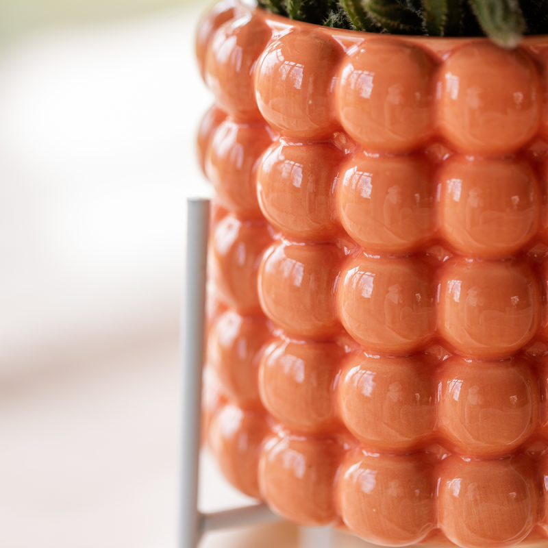 Planten duo Poppy oranje