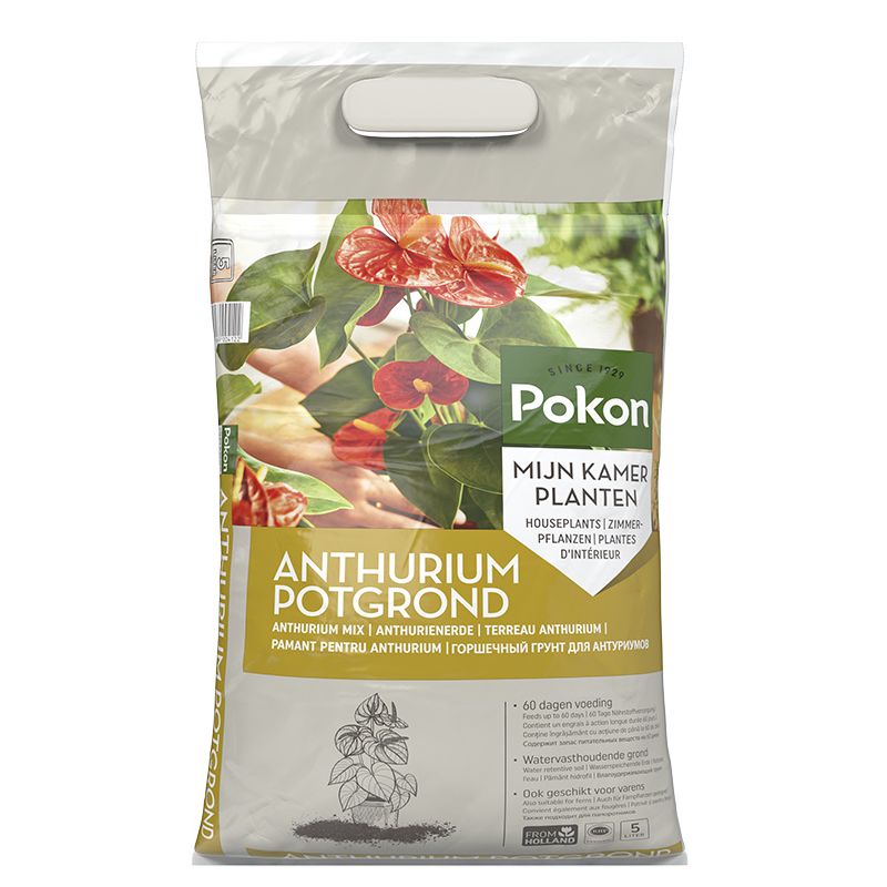 Anthurium potgrond 5L