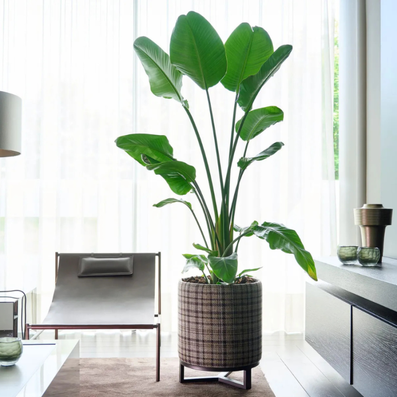 Pouf Cylinder Brown
