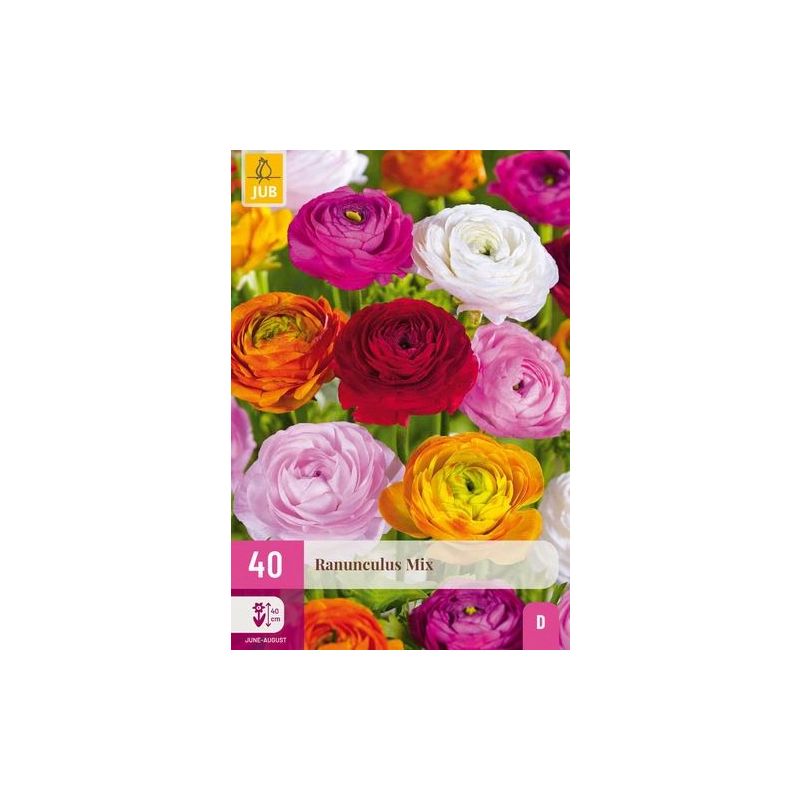 Ranunculus Mix - 40 stuks