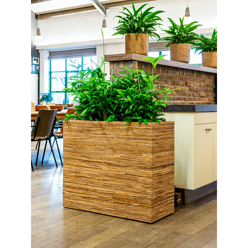 Rattanplanter Divider