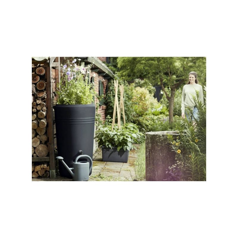 Regenton Green Basics 200L