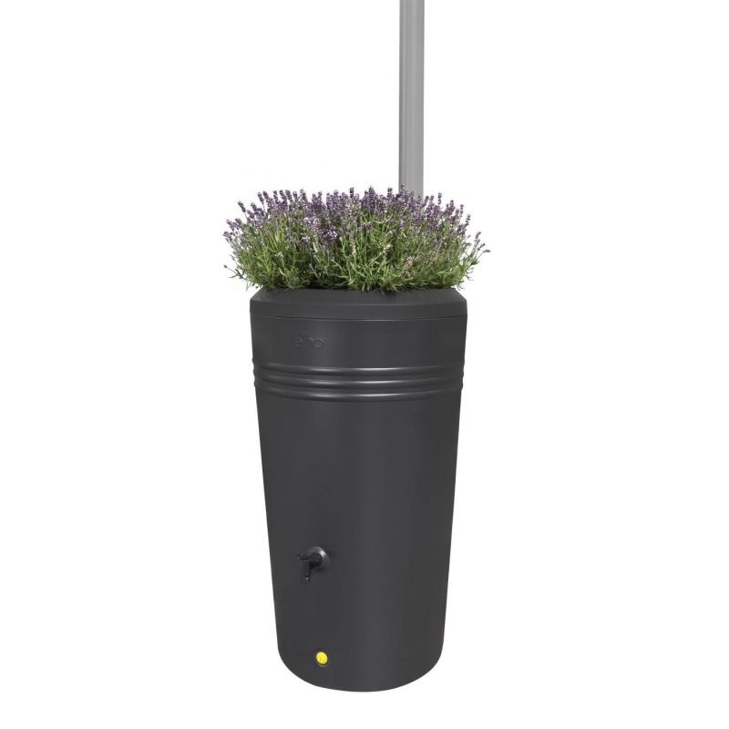 Regenton Green Basics 200L