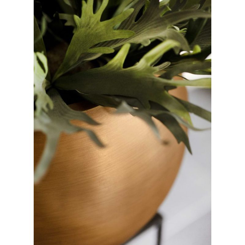 Capi Lux Retro Bowl Goud