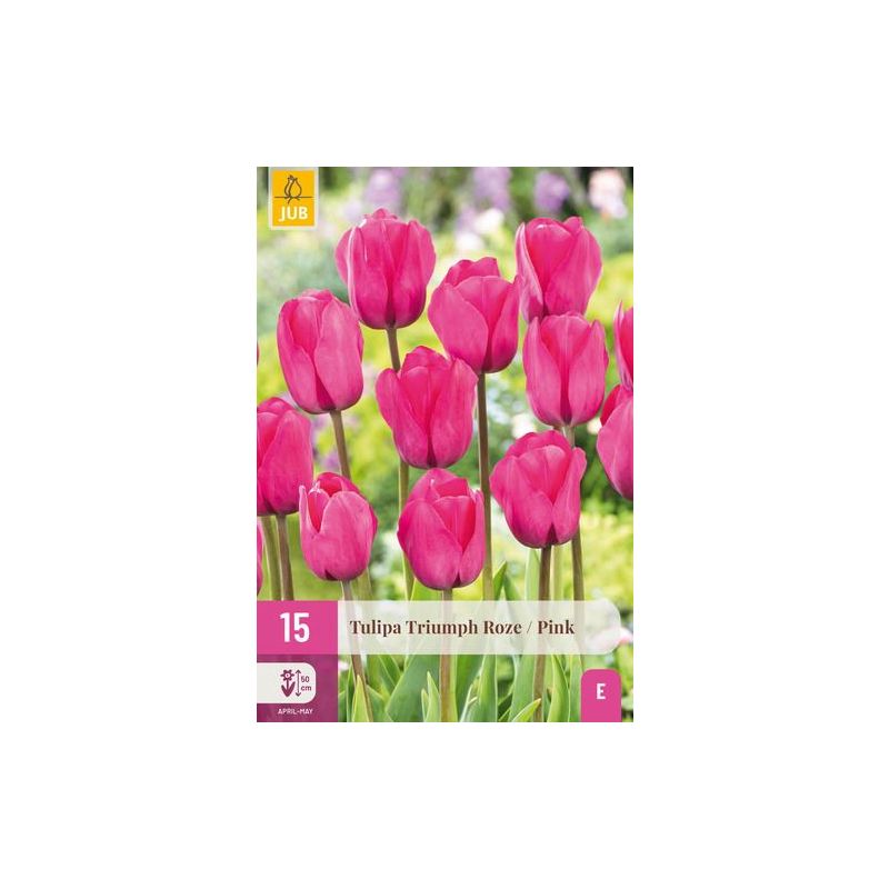 Tulipa Triumph Roze - 15 stuks