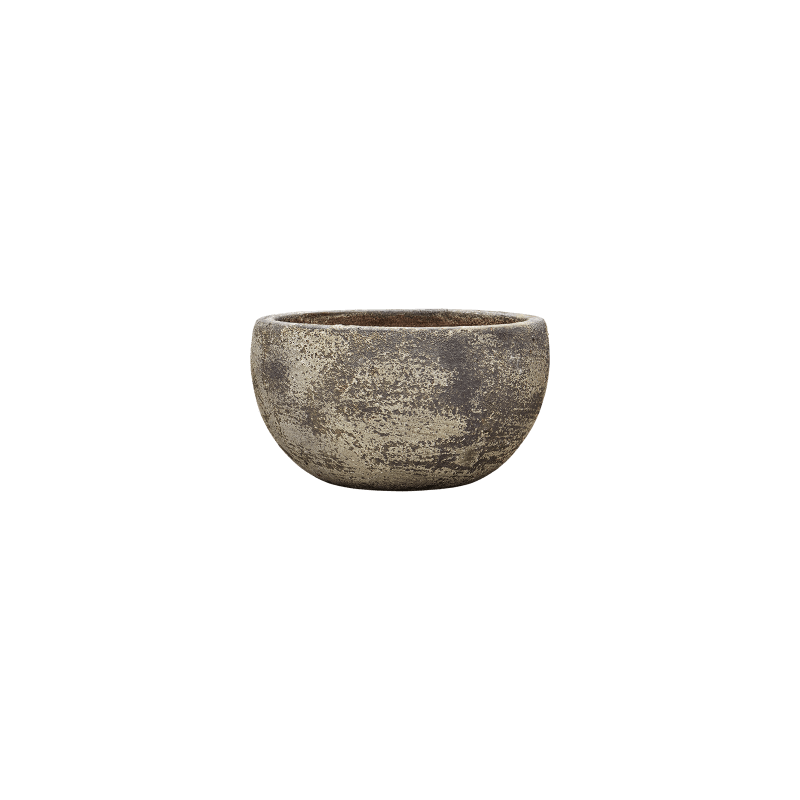 Sandora Bowl Bruin