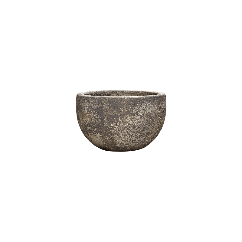 Sandora Bowl Bruin